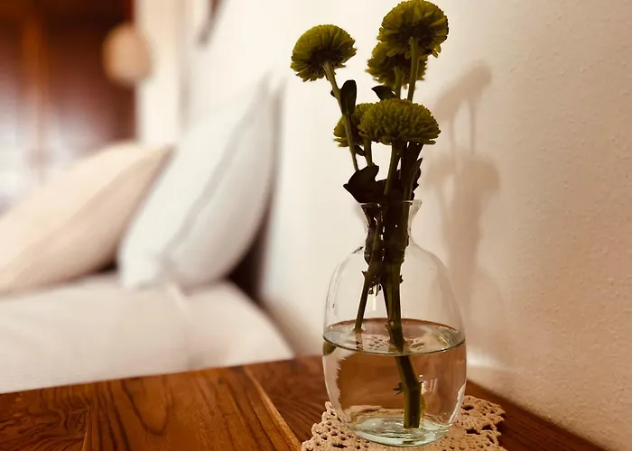 -spacious 2 Bedroom With Pool - Monte Dourado Καρβοέιρο